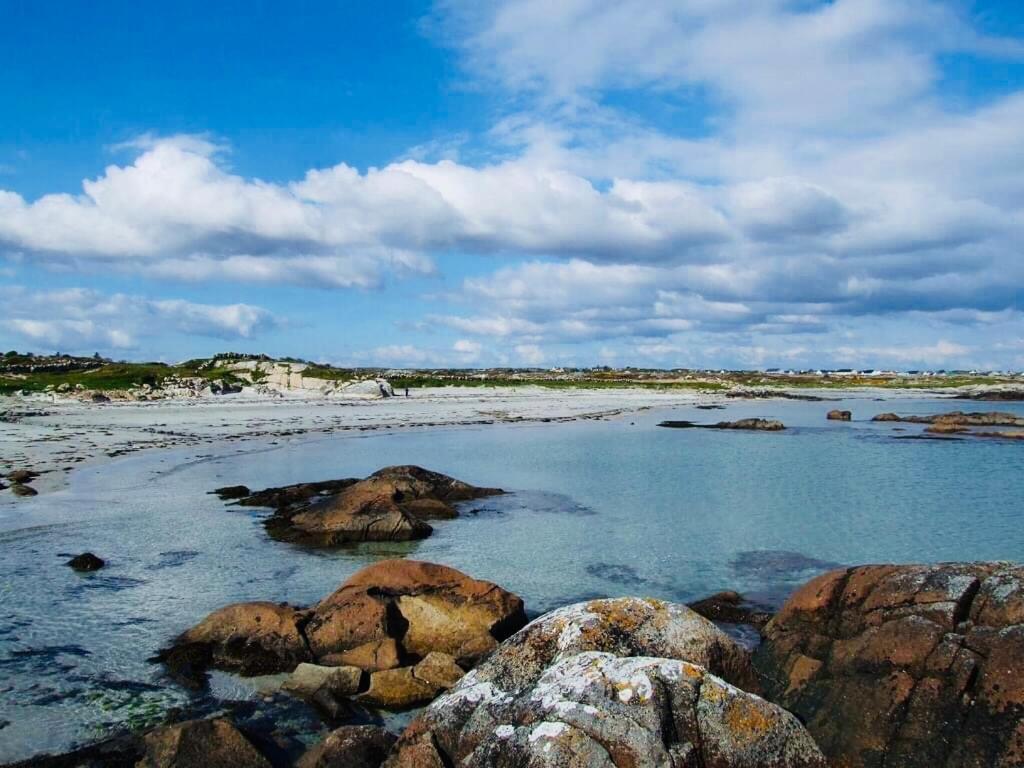 Wild Atlantic Stay Cottage 戈尔韦 外观 照片